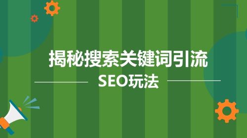 陸明明 搜索推廣吸粉技術，全套運營方案揭秘